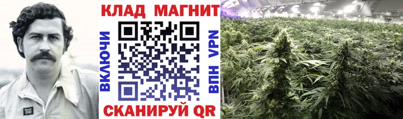 Купить закладку Конопля  A-PVP  МЕФ  Горнозаводск