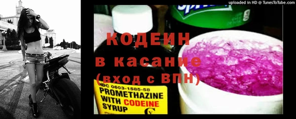 мдпв Елизово