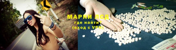 шишки Заволжье