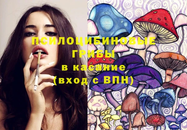 дурь Заволжск