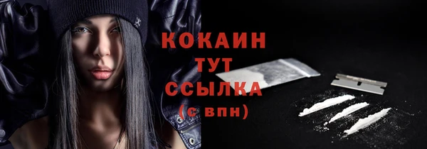 мескалин Заводоуковск
