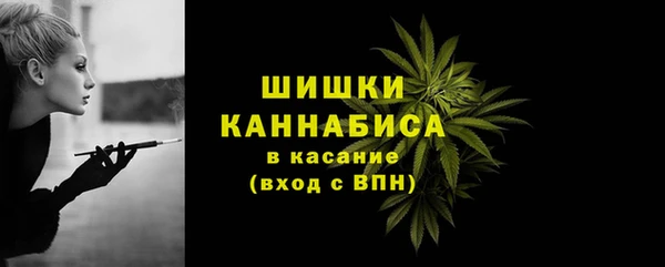 мдпв Елизово