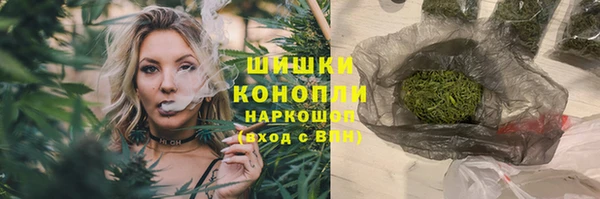 шишки Заволжье