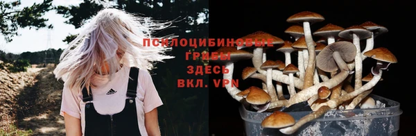 дурь Заволжск