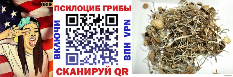 Купить  Горнозаводск  Псилоцибиновые грибы мицелий 